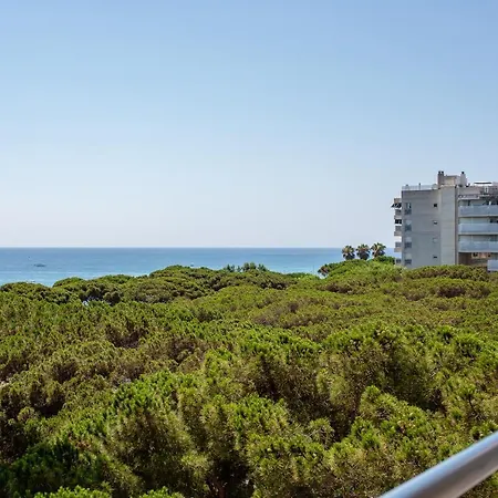 Apartment 60 Mtres From The